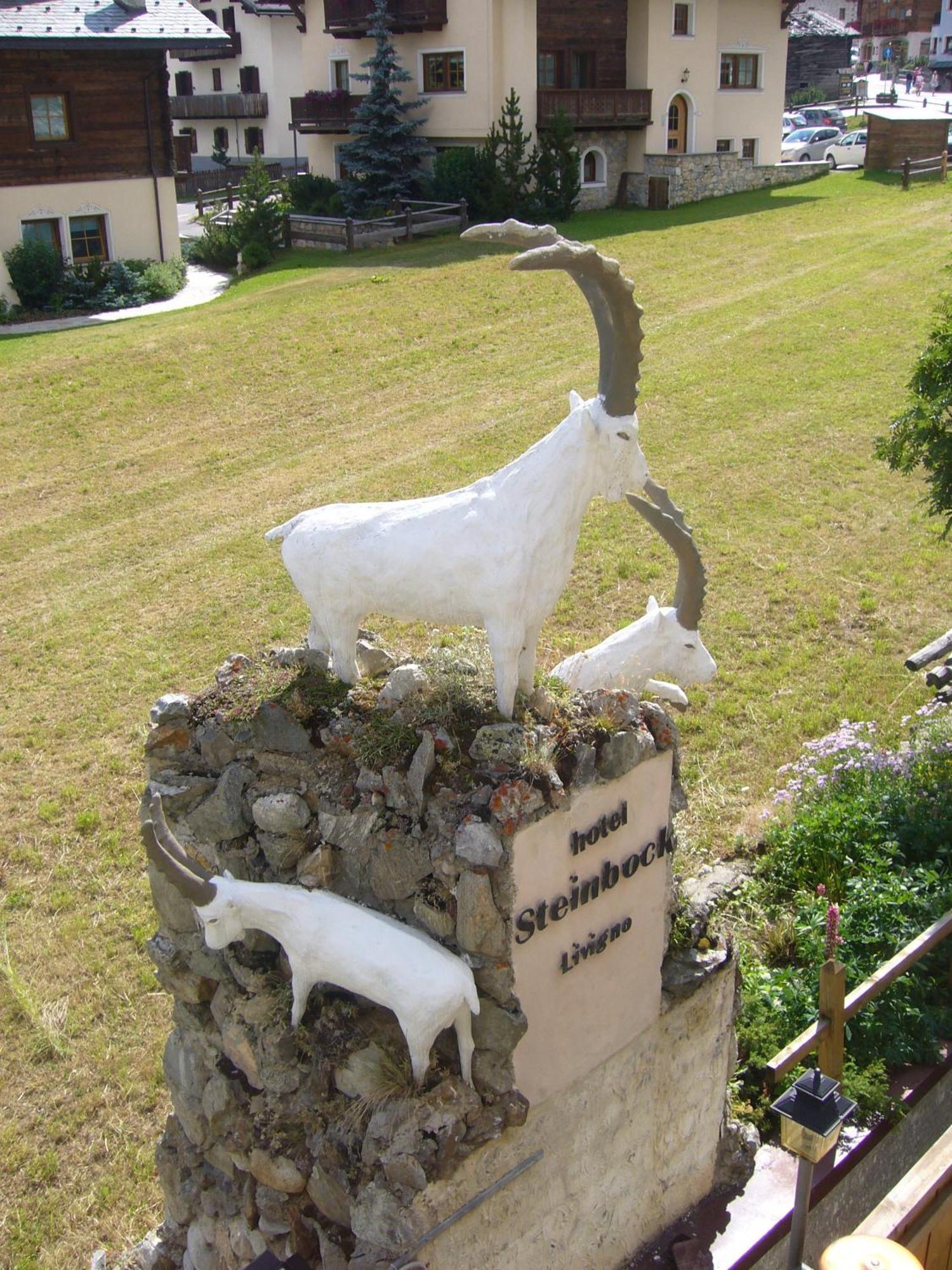 Steinbock B&B - Apartaments Livigno Exterior photo